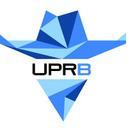 University of Puerto Rico-Bayamon