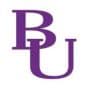 Bethel University (TN)
