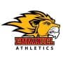 Emmanuel College (GA)
