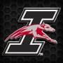 University of Indianapolis