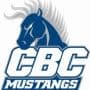Central Baptist College