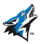 California State University-San Bernardino