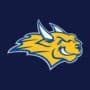 Webster University