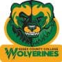 Essex County College