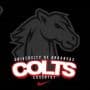 Cossatot Community College of the University of Arkansas